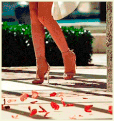 622527-Goy-JVBDX.gif