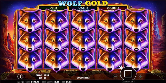 Strategi Reel Power Dinamis Di Slot Wolf Gold Dengan Jackpot Acak