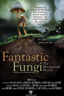 Funghi fantastici ​(2019) .mkv DLMux 1080p E-AC3+AC3 ITA ENG SUBS