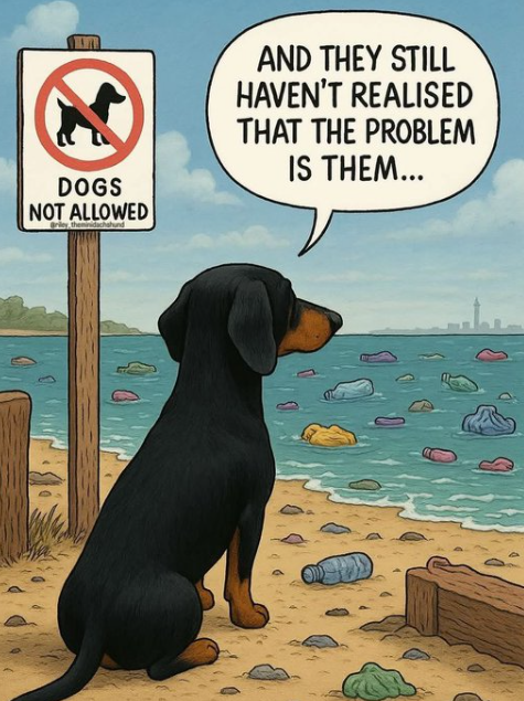 2025-01-08-14021210015.png