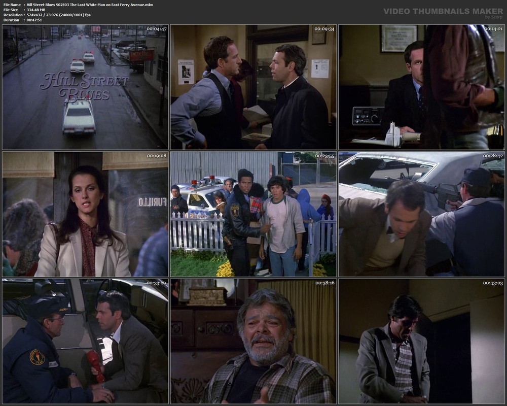 Hill Street Blues S02E03 The Last White Man on East Ferry Avenue.mkv