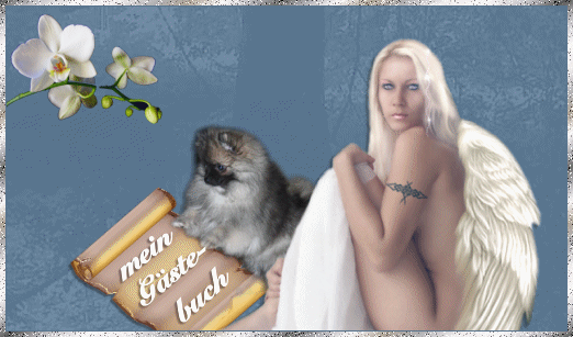 Gästebuch Banner - verlinkt mit http://www.pomeranianwhiteangels.de