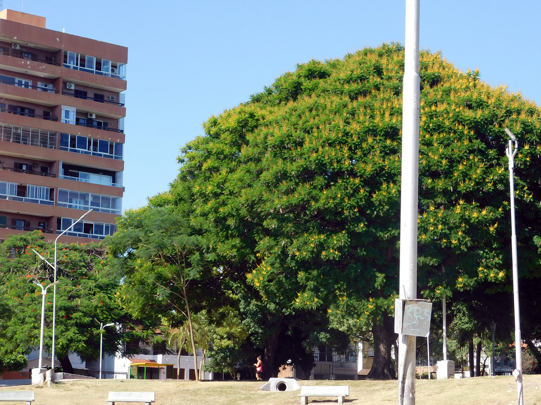 DSCN0806.jpg