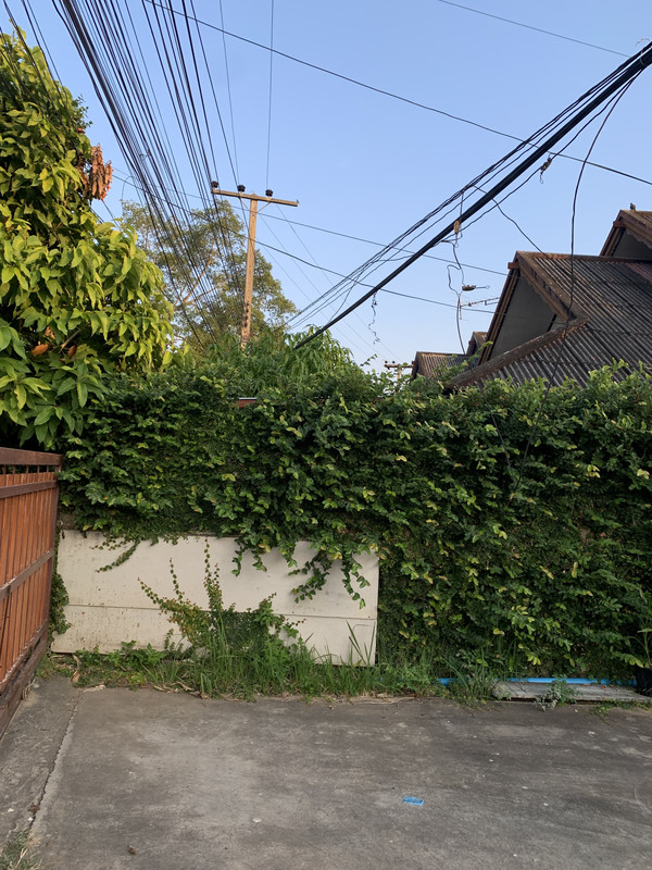 4B1EB9CC-E853-426C-8793-5134F8FD9B46