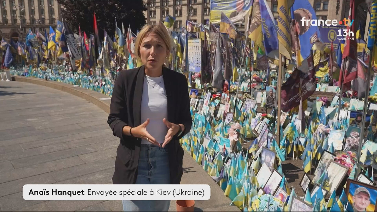 Journal 13h00 (France 2)_2025_08_16_11_55_81.ts_snapshot_08.50.081