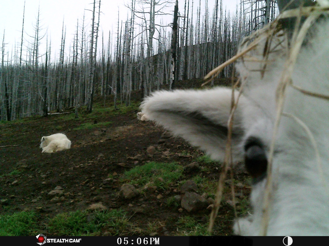 3305C071-075E-448B-9054-E7CAA8E3C1A5