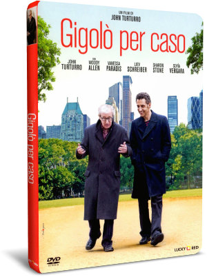 Gigolò per caso (2013) .avi BDRip AC3 Ita Eng