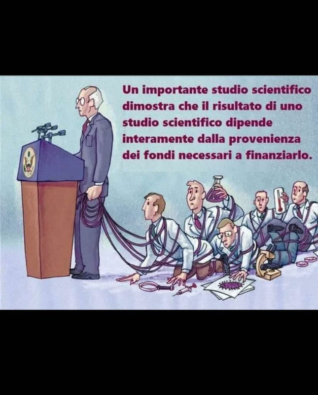 File allegato: