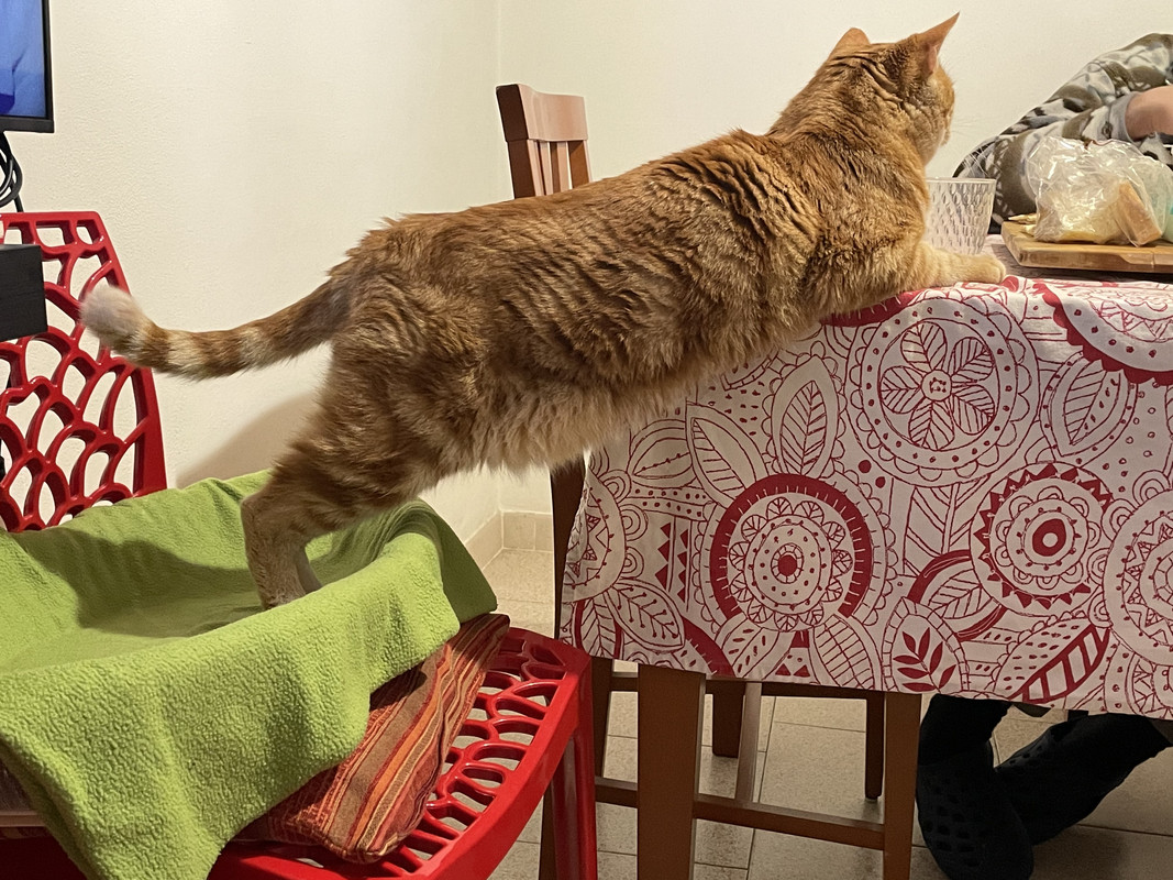 3DDFFEB4-7EAA-43AE-B363-F7ABF1EA9F04