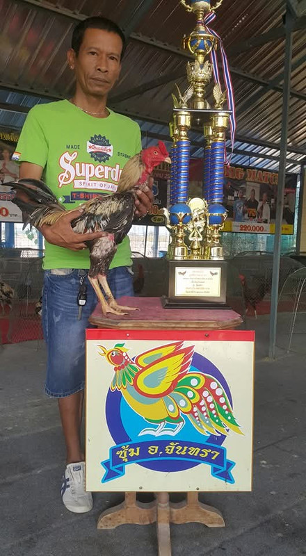 FB IMG 1779362091473