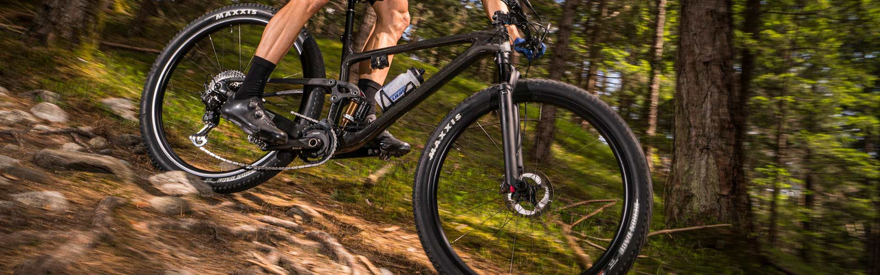 Detalle del sistema de suspensión FlexPoint Pro y el cuadro de carbono de la Giant Anthem.