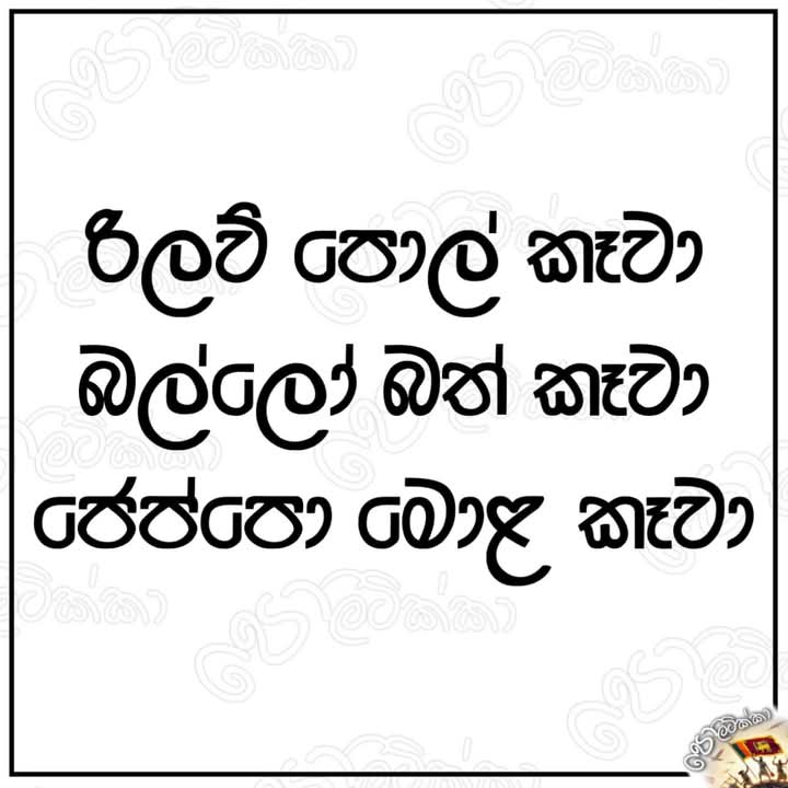 FB-IMG-1737562443842.jpg