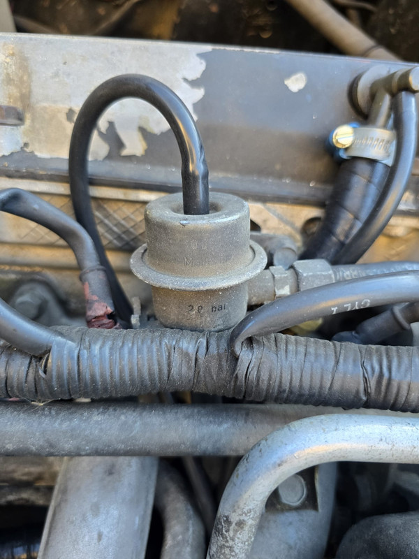 Whats App Image 2026 03 27 at 14 26 41 (1)