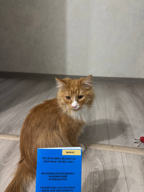 IMG 20260330 110552 620