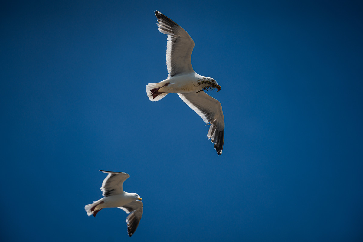 Весна на Сахалине