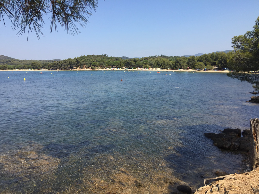 8FBC9755-758A-4BF6-9FC1-48FC693D2DF0