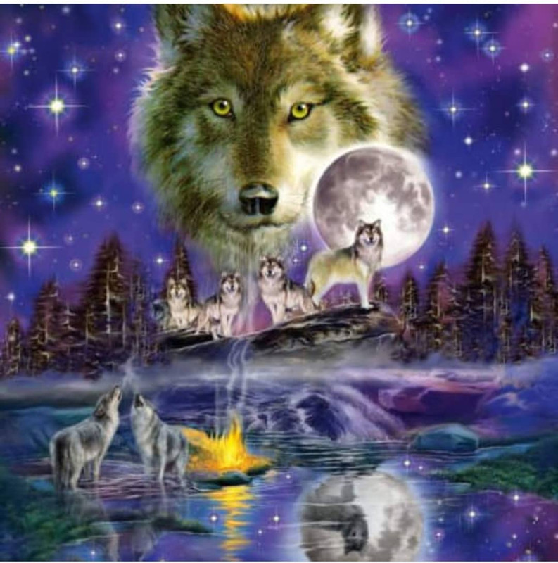 285238853_435087514670086_5516107325787006986_n