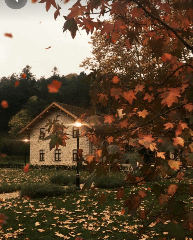 Screenshot_20231130_235941_Pinterest