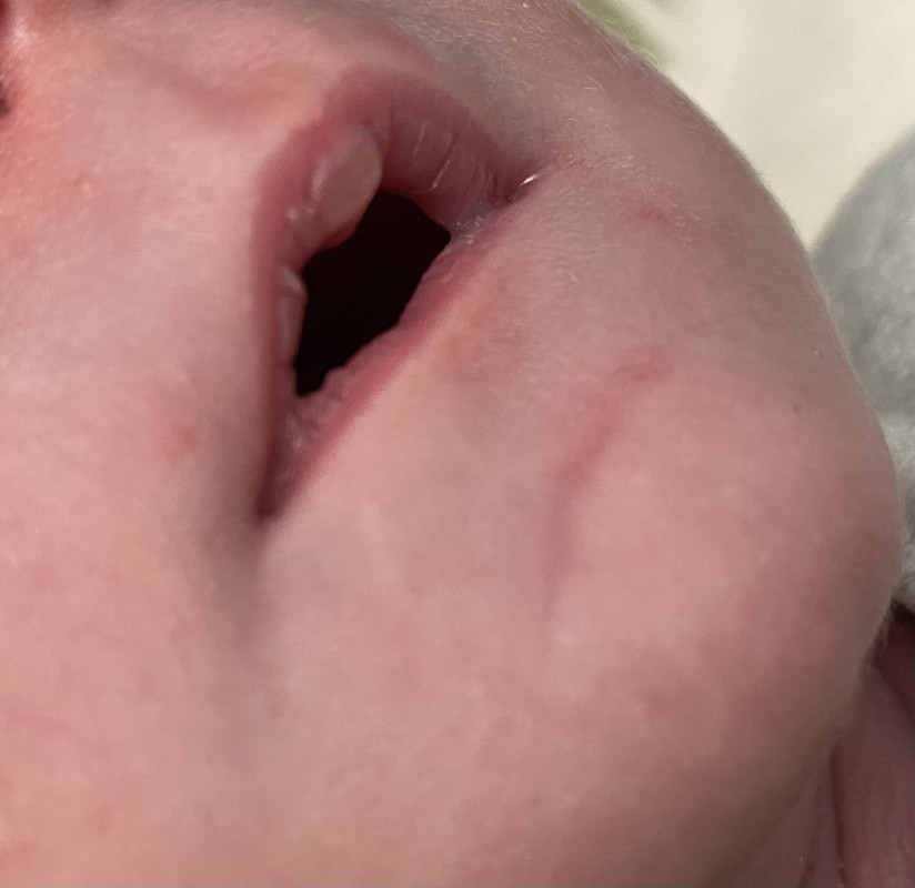 D5F4EF26-F71B-420F-AF95-AB41B3BD4076