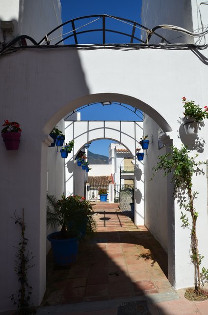 ESTEPONA-9-3-2017 - Málaga y sus pueblos-2009/2017 (78)