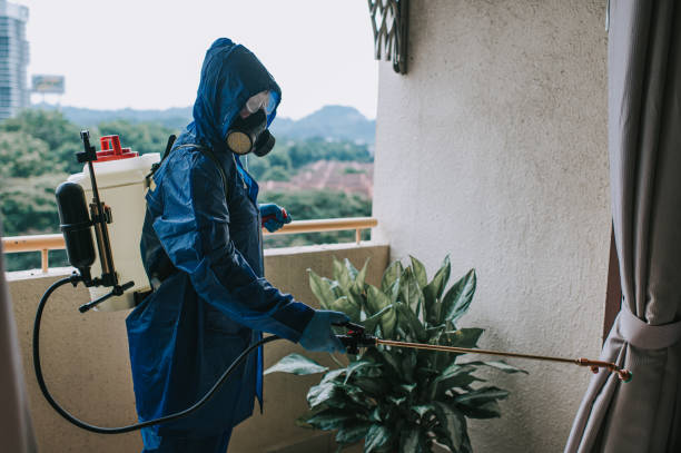 Bed bug treatment