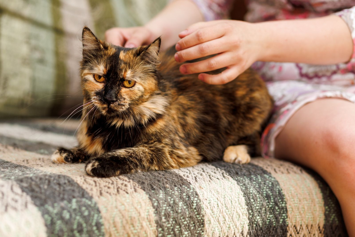 изображение_viber_2023-07-16_15-56-51-264