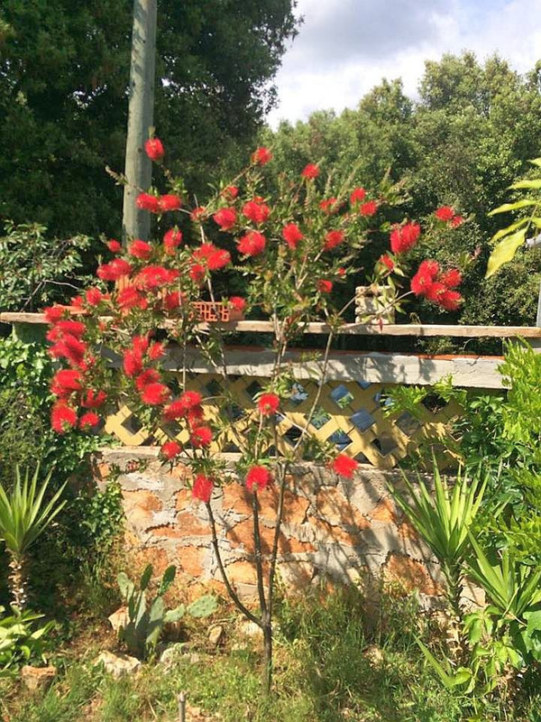 32673253_10215178365113507_7194516476491988992_n