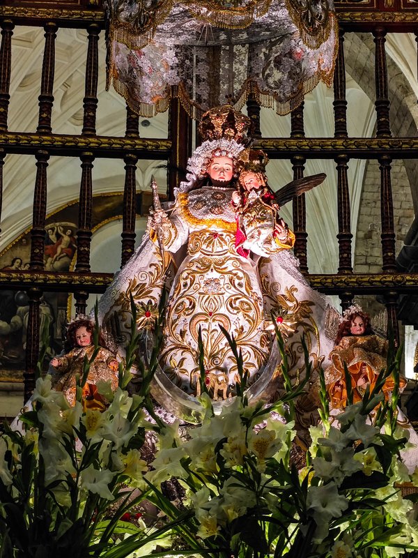 https://i.postimg.cc/tCxcJdcH/Image00118-3.jpg