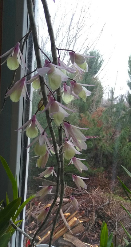 0be43289-dc21-4864-b3e5-2b37f39e96c0