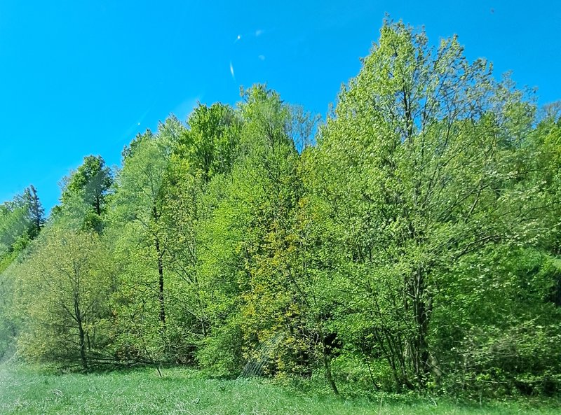 Slika