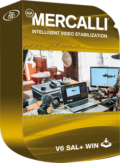 proDAD Mercalli V6 SAL All Editions v6.0.617.1 64 Bit Senza-titolo-2