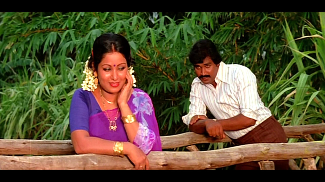 vlcsnap-2022-09-24-20h56m38s438