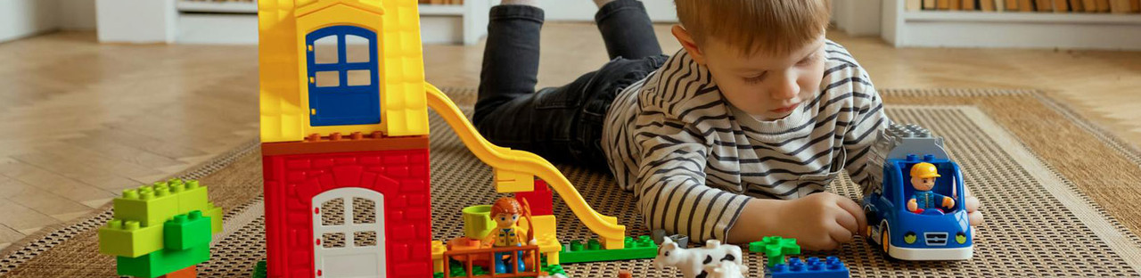 A boy with LEGOs castle