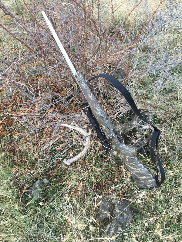 26BD699E-7CF3-49ED-8425-43B3B8433F69