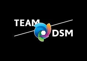 DEVELOPMENT TEAM DSM 2-dsm