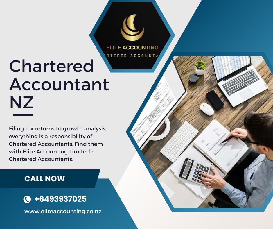 Chartered Accountant NZ