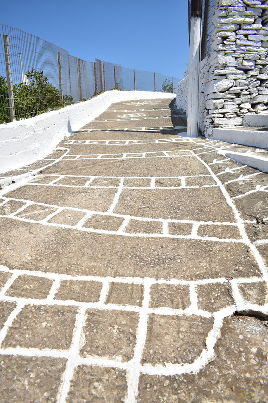 Δρυοπίδα (2)