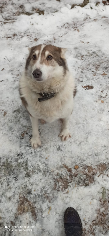 DD99CAFF-4C8D-45C6-8623-92FDE1002984