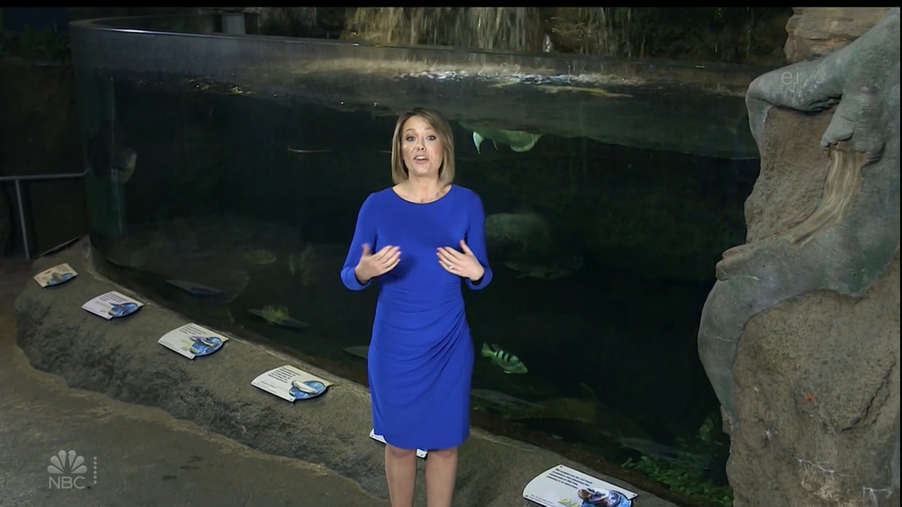 11.07 - 15.00.00 - Earth Odyssey With Dylan Dreyer. The world's smart....ts_snapshot_00.14.49.169