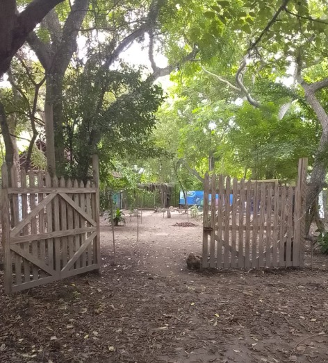 VIVERO COMUNITARIO
