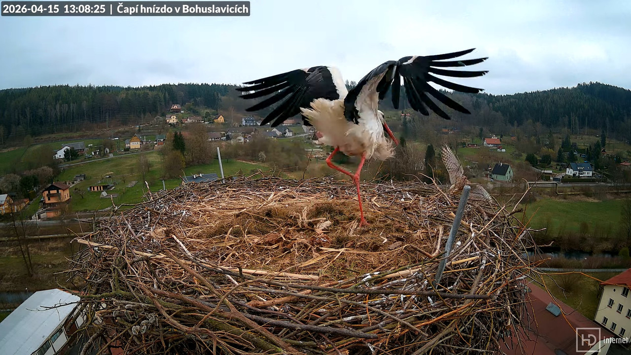 Tiešraide no KARA uzņēmuma stārķu skursteņa Bohuslavicē netālu no Trutnovas 11 35 52 screenshot (4)