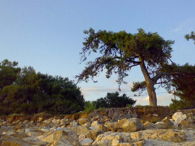 Slika