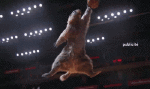 https://i.postimg.cc/tCz1DczQ/147138-basketball-multi-media-channels-tv-france-france-3-les-marmottes-sports.gif
