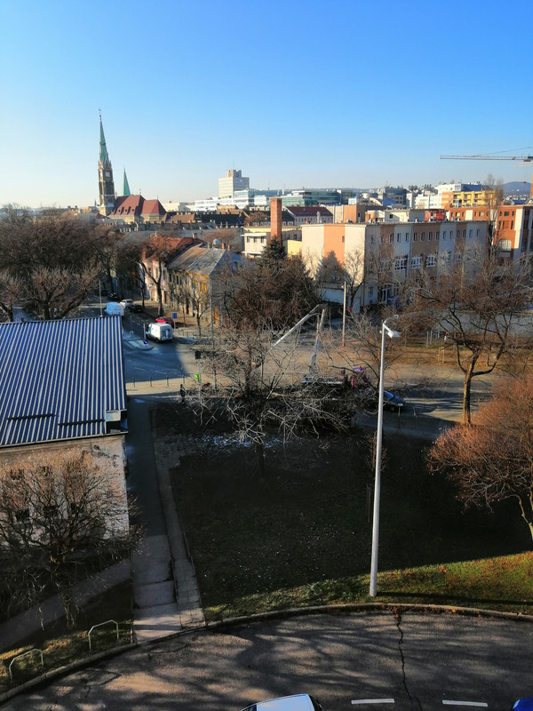 Kép
