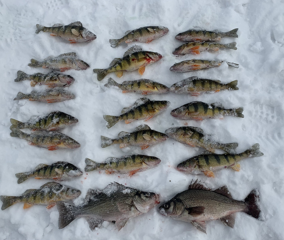 AB693AAA-A4B6-41AB-9C6B-DCA56C9C45B7