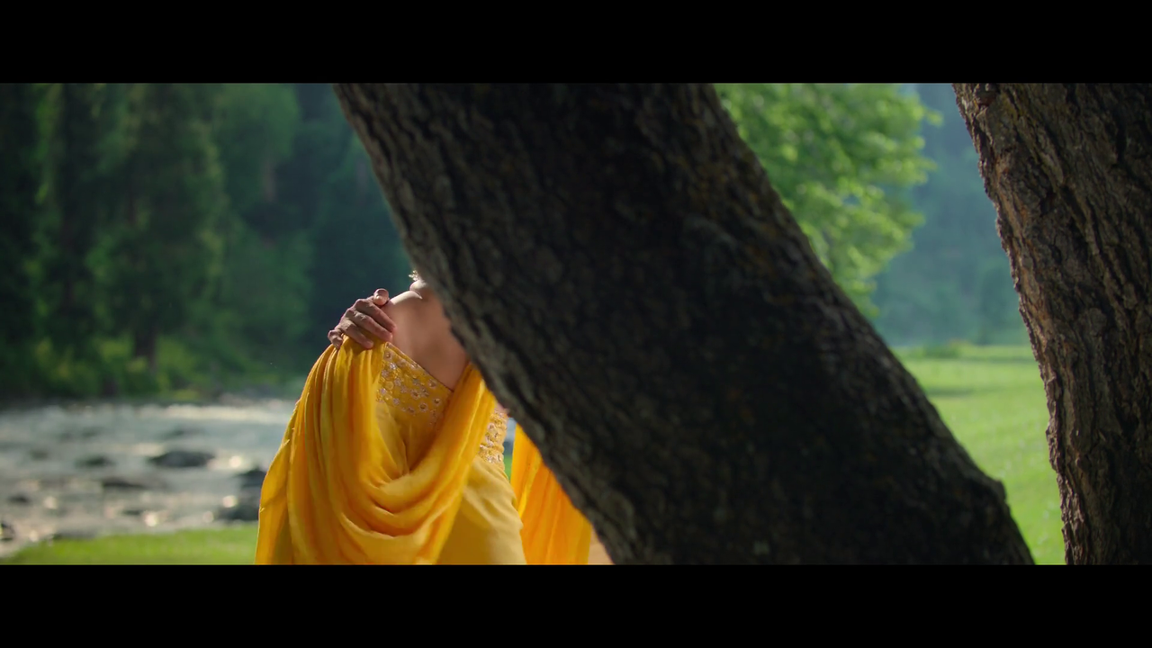 vlcsnap-2024-09-12-17h45m17s517