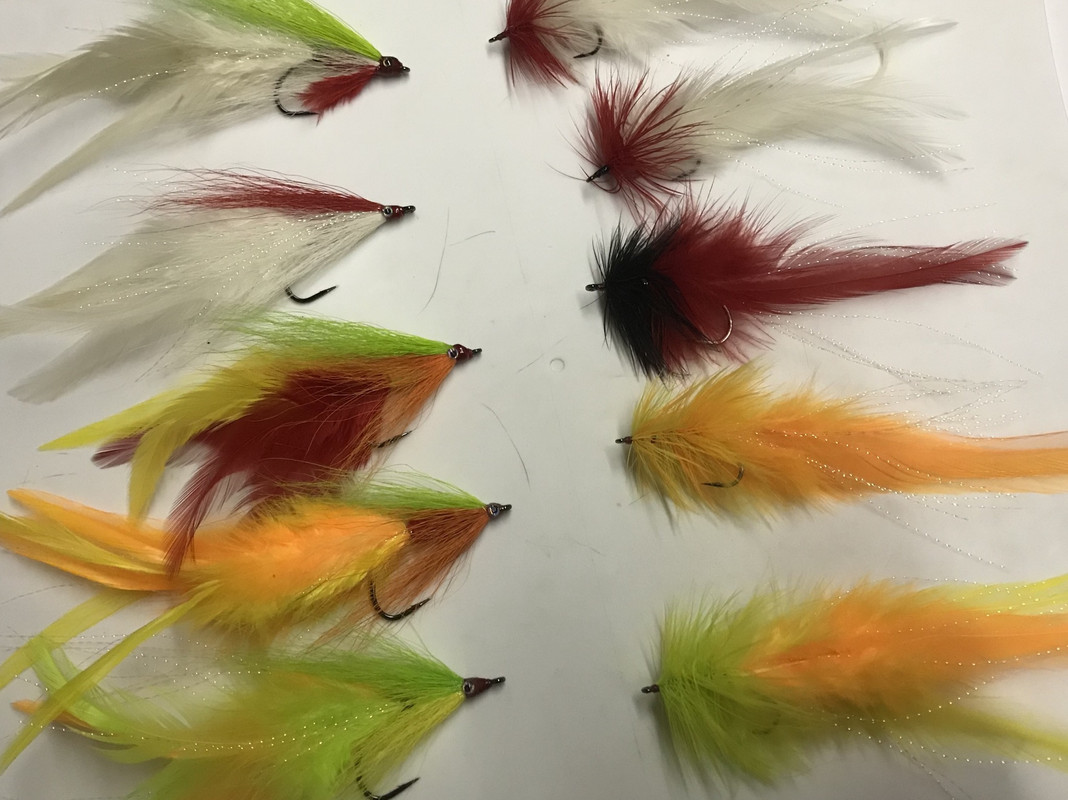 01AC9CDC-525F-44C1-89D0-5E0BC6D42C4D