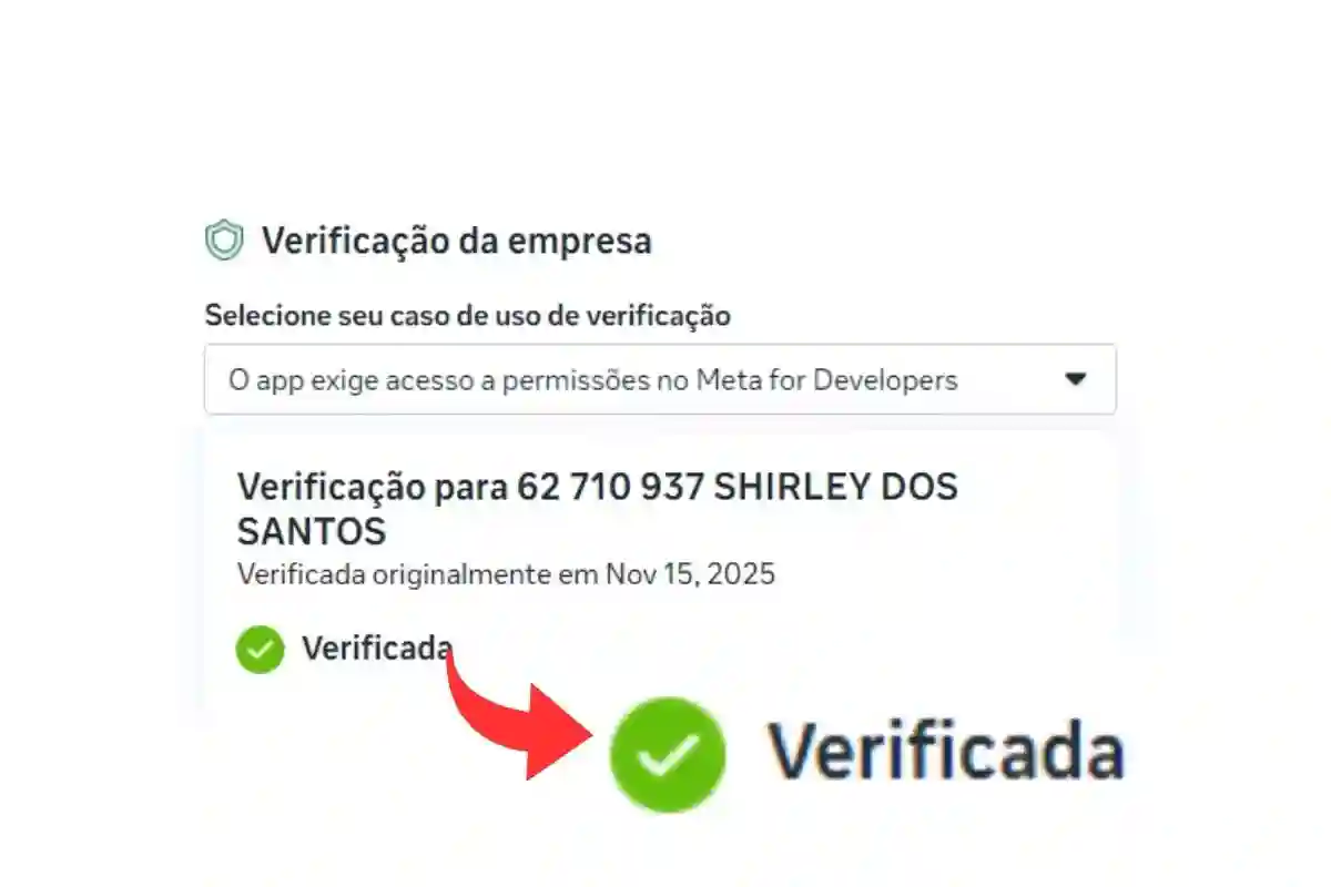 Business Manager (BM) do jeito certo