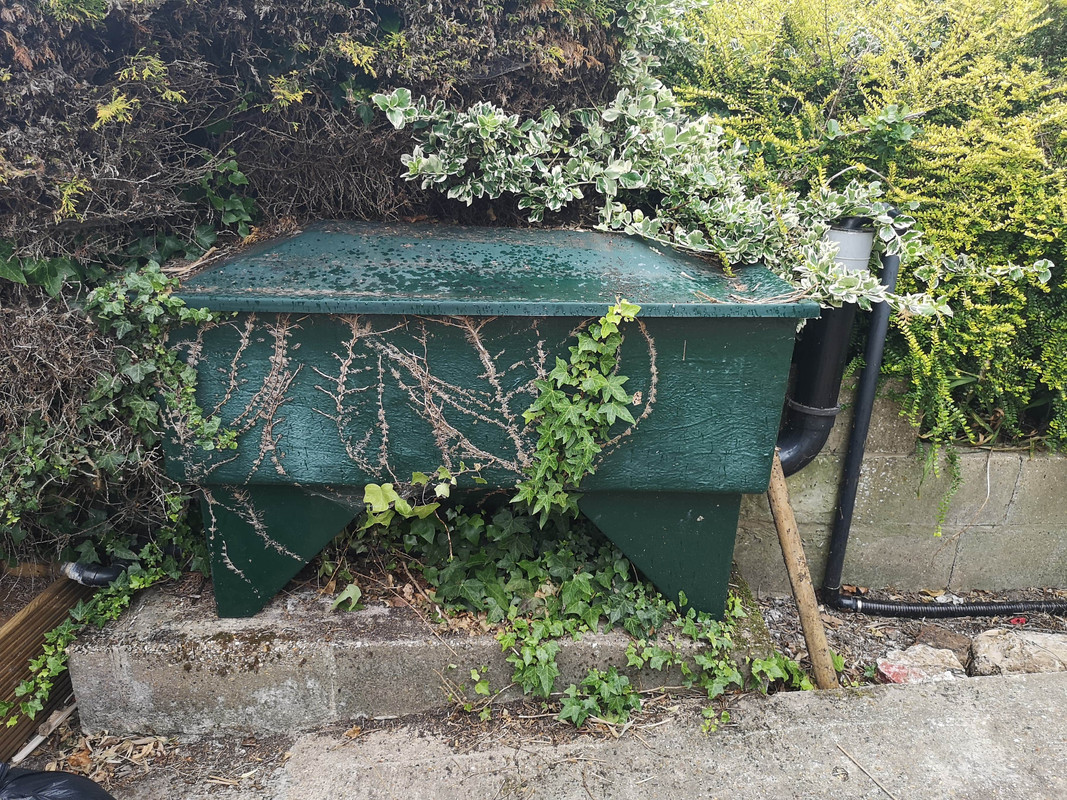 received_2355590648079844