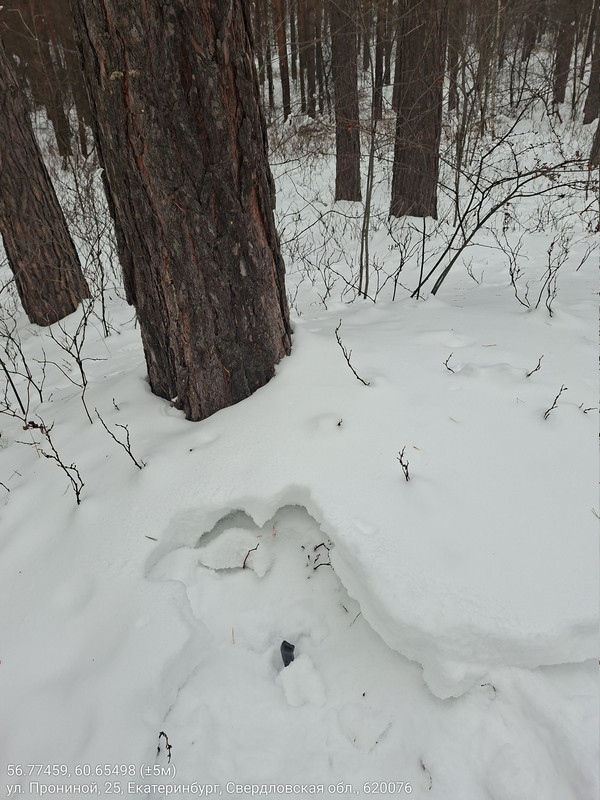 56 77459 60 65498 ( 5м) 13022026 152923